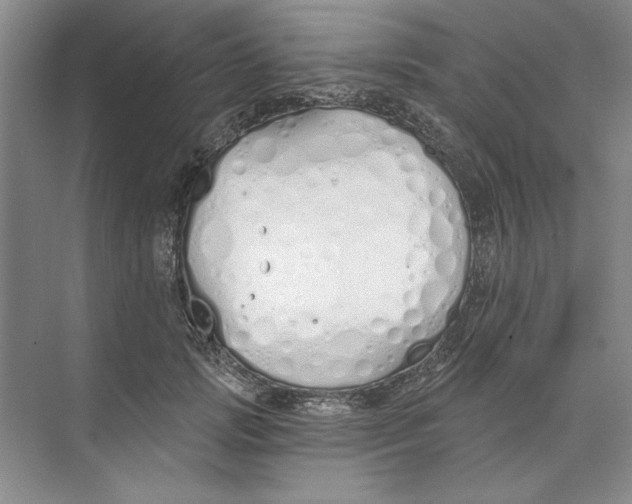 X0000074320749200609230026