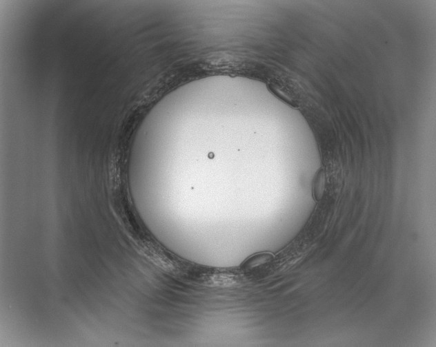 X0000074320751200609230026