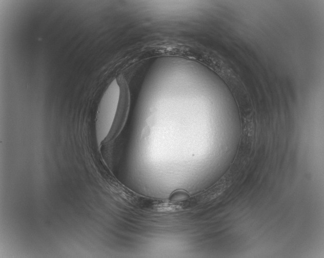 X0000074320754200609230026