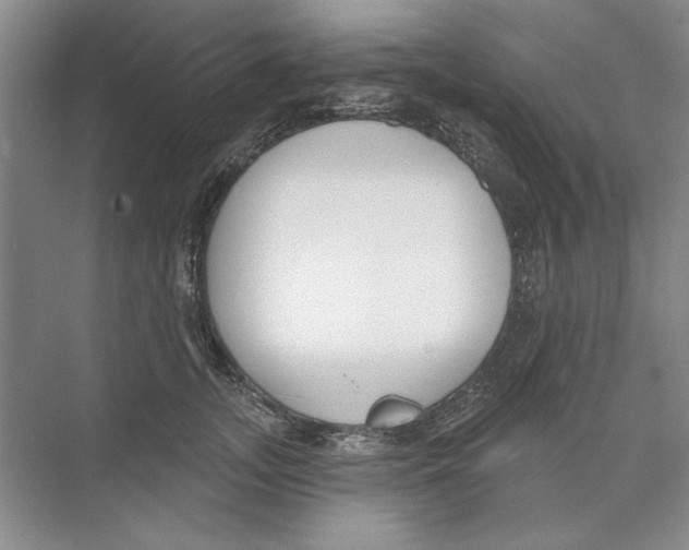 X0000074320755200609230026