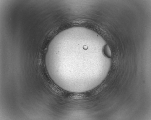 X0000074320758200609230026