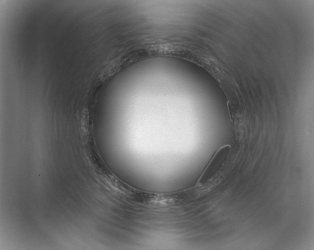 X0000074320760200609230026