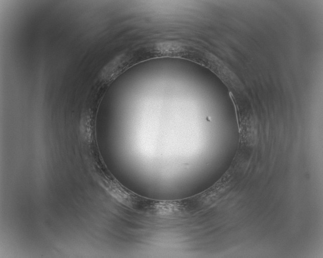 X0000074320762200609230026