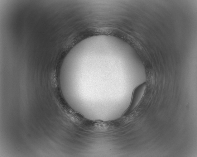 X0000074320764200609230026