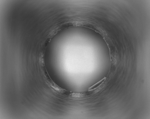 X0000074320766200609230026