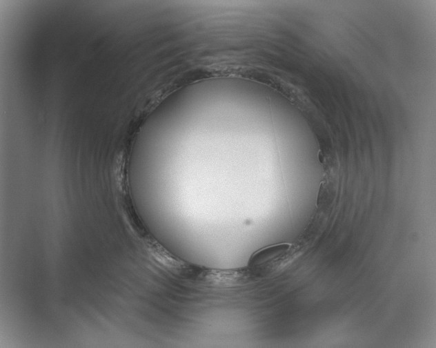 X0000074320767200609230026