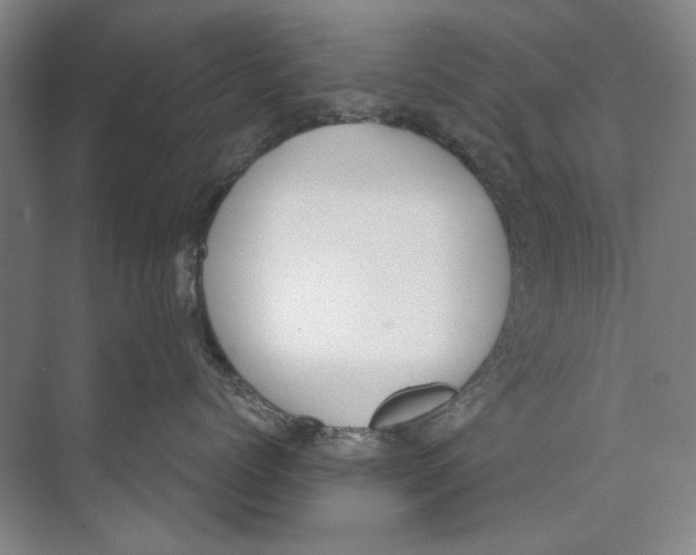 X0000074320768200609230026