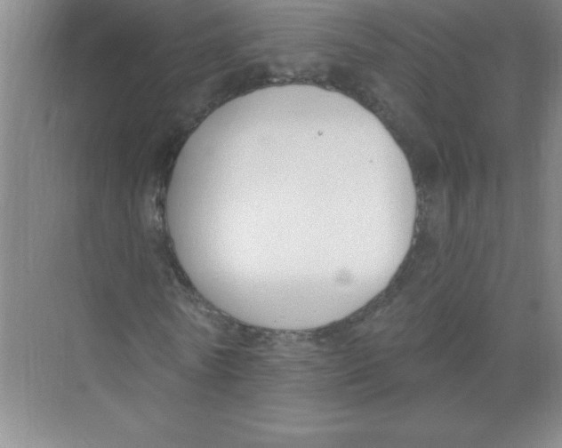 X0000074320770200609230025