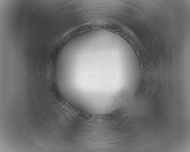 X0000074320773200609230025