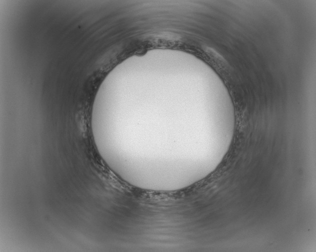 X0000074320774200609230025