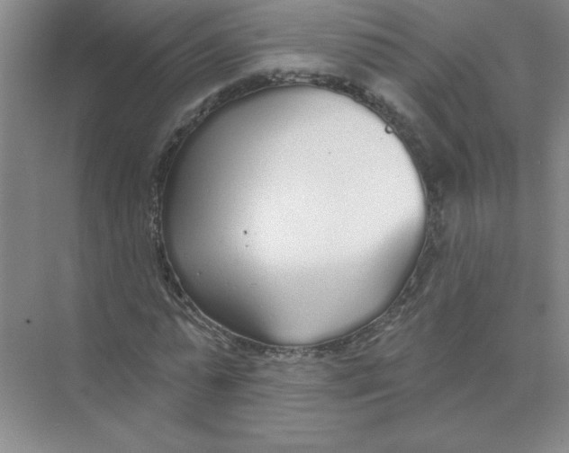 X0000074320775200609230025