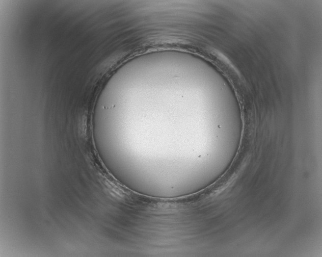 X0000074320777200609230025