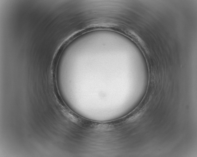 X0000074320779200609230025