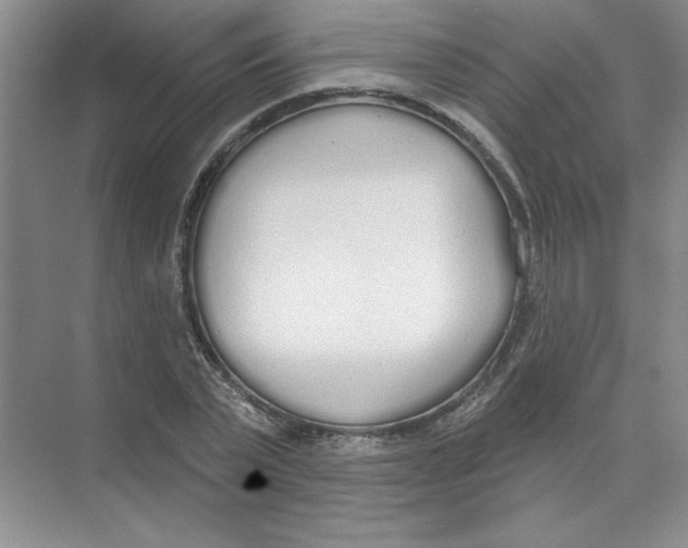 X0000074320783200609230025