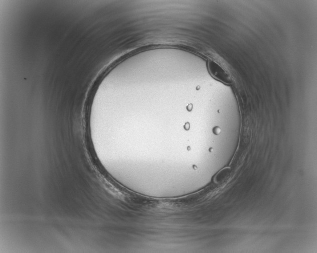 X0000074320787200609230025