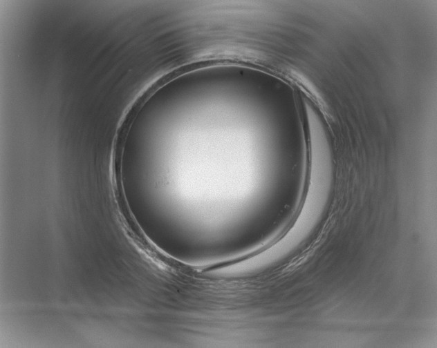 X0000074320788200609230025