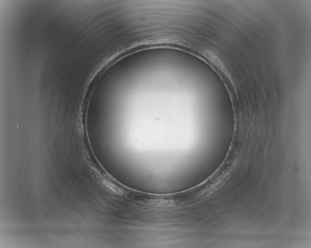 X0000074320789200609230025