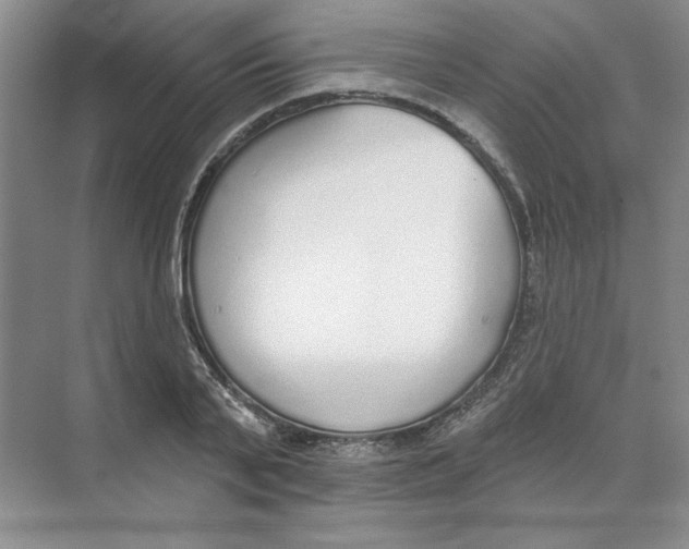 X0000074320791200609230025