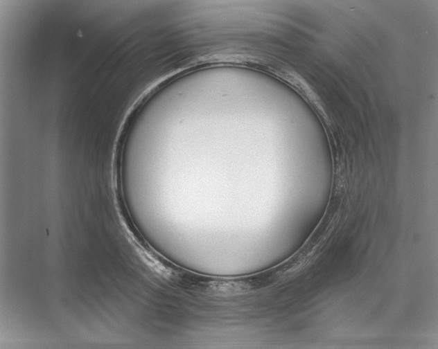 X0000074320795200609230025