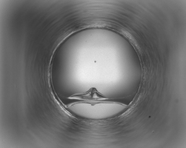 X0000074320802200609230025