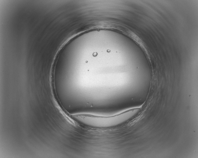 X0000074320803200609230025