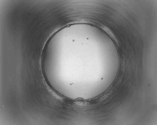 X0000074320805200609230025