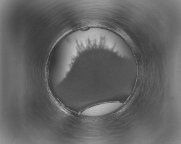 X0000074320806200609230025