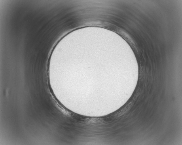 X0000074320808200609230025