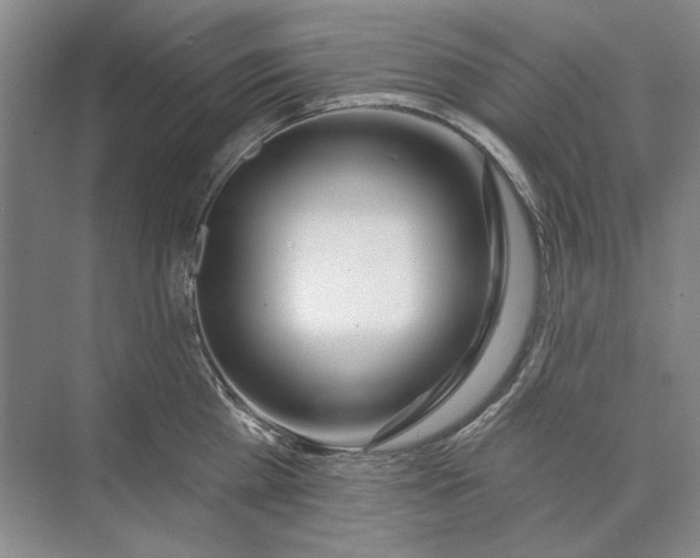 X0000074320809200609230025