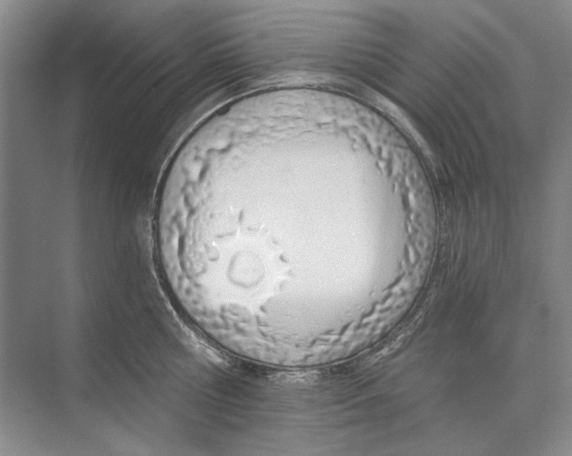 X0000074320810200609230025