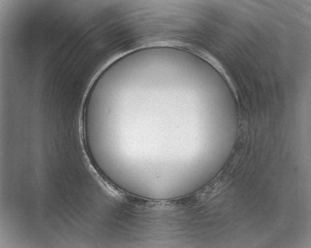 X0000074320811200609230025