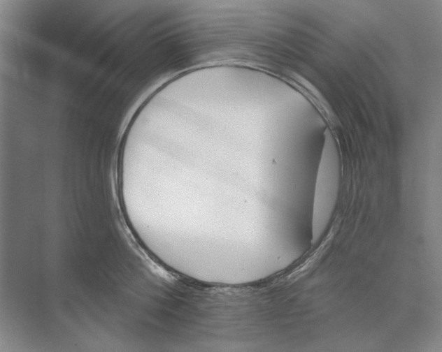 X0000074320812200609230025