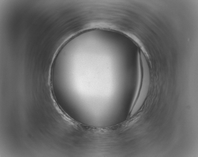 X0000074320815200609230025