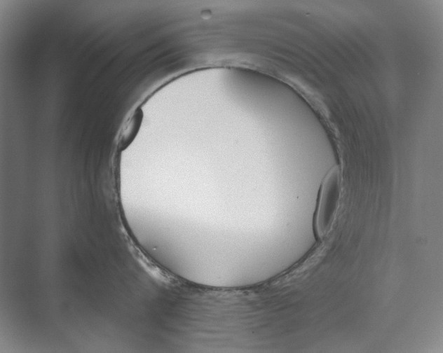 X0000074320816200609230025