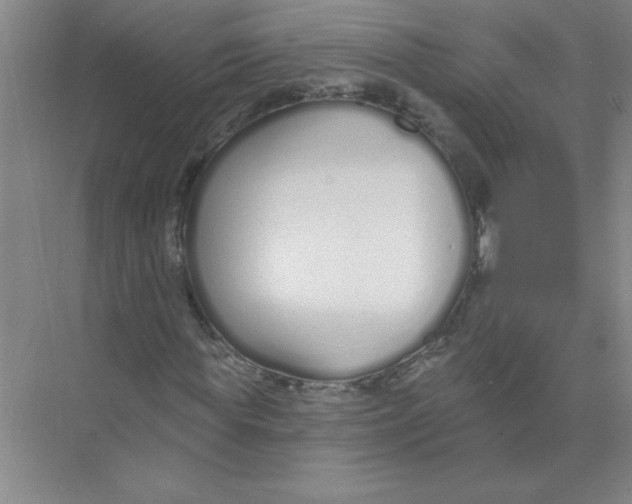 X0000074320819200609230024