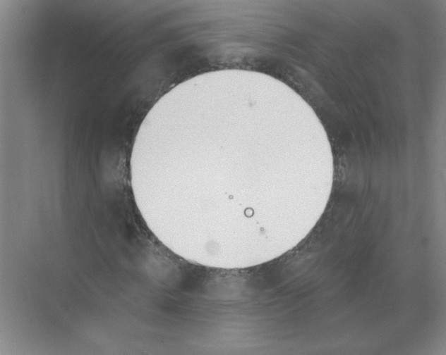 X0000074320820200609230024