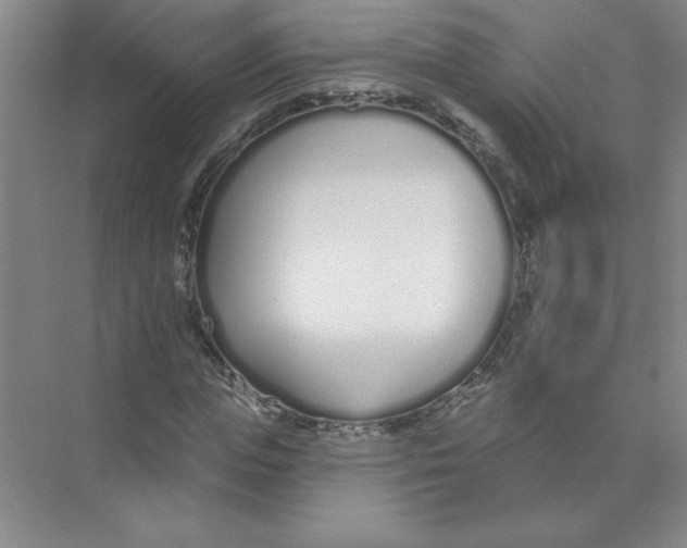 X0000074320823200609230024