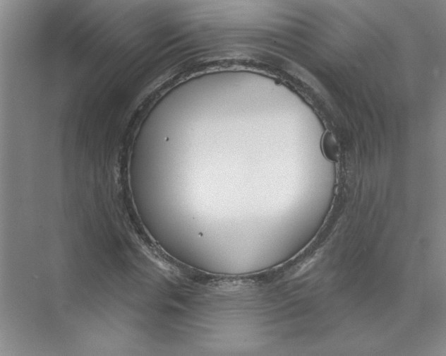 X0000074320826200609230024