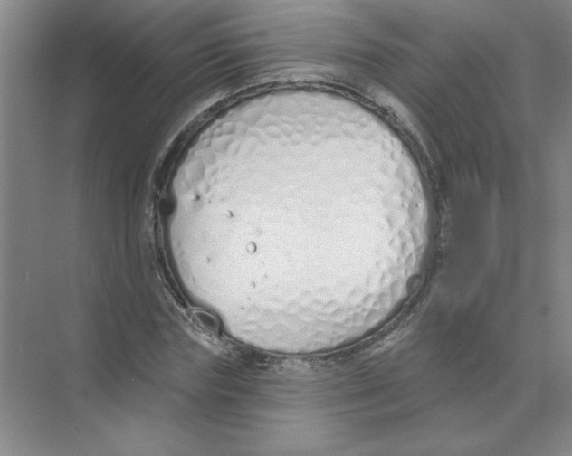 X0000074320827200609230024