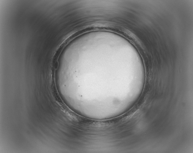 X0000074320829200609230024