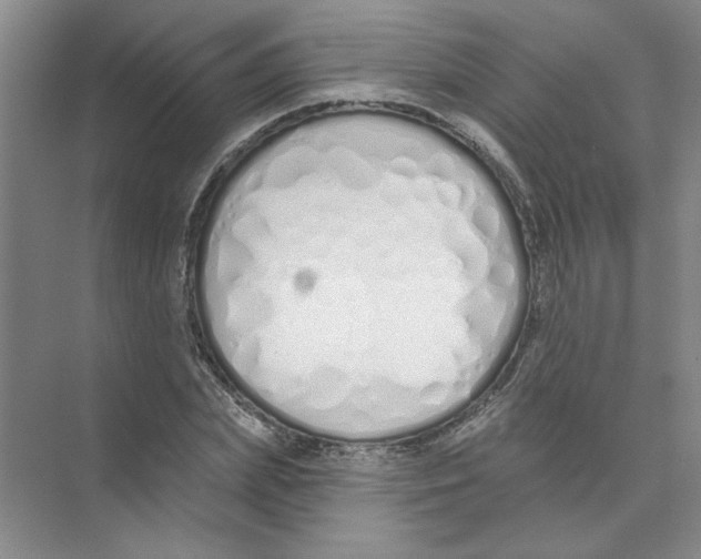 X0000074320831200609230024