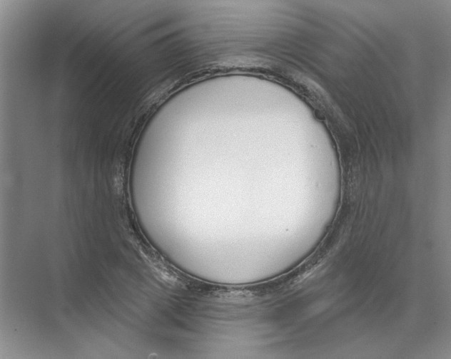 X0000074320833200609230024