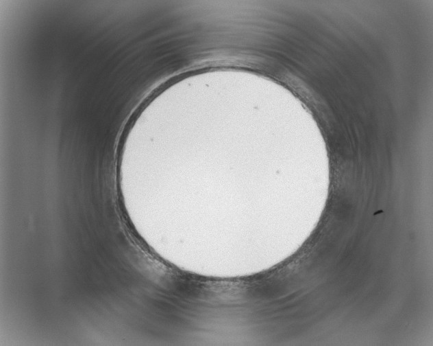 X0000074320836200609230024