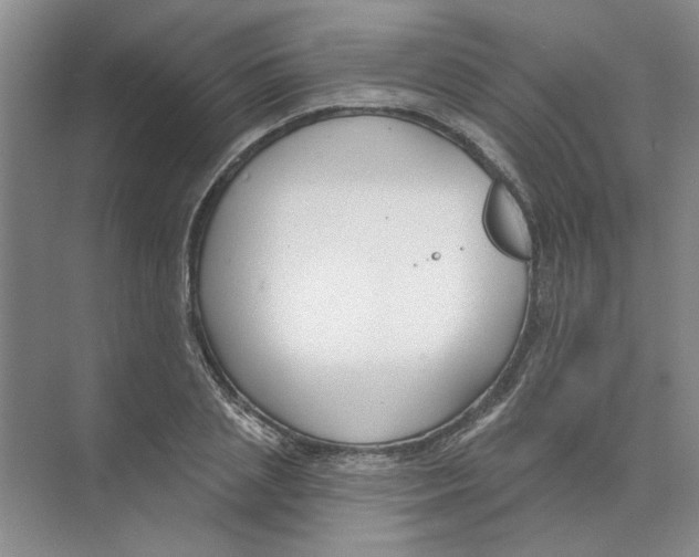 X0000074320837200609230024