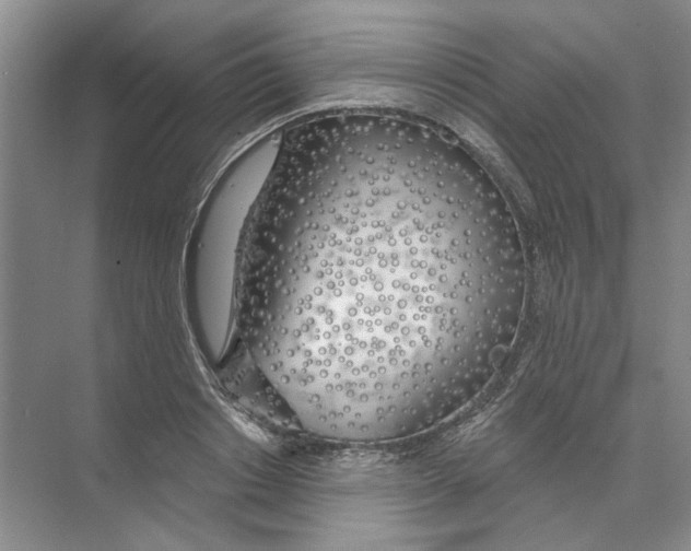 X0000074320842200609230024