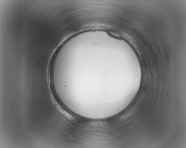 X0000074320843200609230024