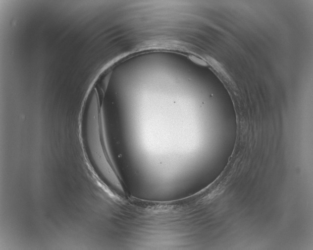 X0000074320846200609230024