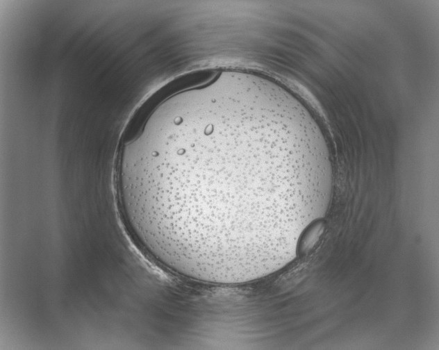 X0000074320847200609230024