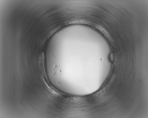 X0000074320849200609230024