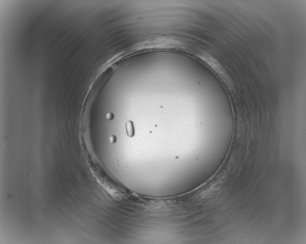 X0000074320850200609230024